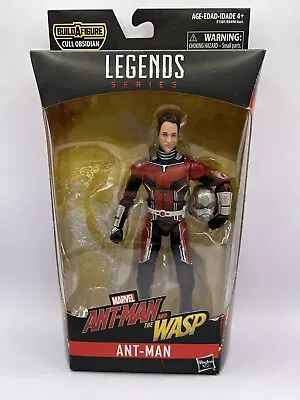 Buy Avengers Marvel Legends Series 6-inch Ant-Man  Figure NO BAF PIECE • 5£