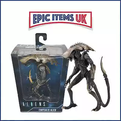 Buy Aliens Vs Predator Chrysalis 7  Scale Action Figure (Movie Deco) NECA - IN STOCK • 34.95£