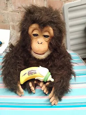 Buy Furreal Friends Cuddle Chimp Interactive Monkey 2005 Hasbro Read Description • 12£