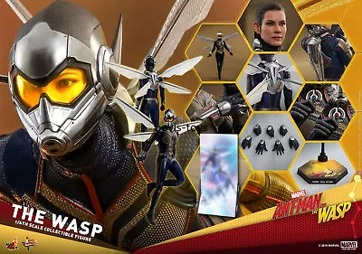 Buy New Hot Toys MMS498 Ant-Man 2 - Wasp Woman 1/6 Scale Collector's Figure • 189.99£