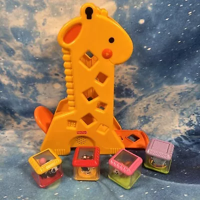 Buy Fisher Price Peek A Boo Blocks Giraffe Sensory Sounds Motor Skills + 4 Blocks  • 14.99£