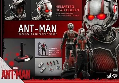 Buy HOT TOYS ANT-MAN MMS 308 With/with Brown Box • 273.99£