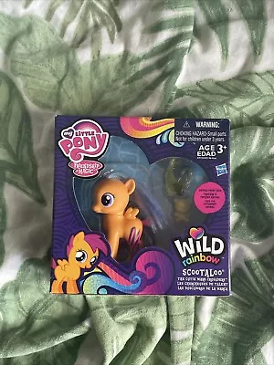 Buy My Little Pony Wild Rainbow Scootaloo New In Box • 25£