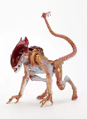 Buy NECA Kenner Tribute Ultimate Panther Alien 7  Figure • 35£