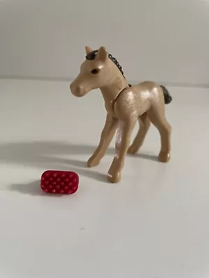 Buy Playmobil Horse Stable & Pony Farm: Cute Foal • 2£