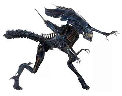 Buy NECA 38cm Aliens Ultra Deluxe Alien Queen Figure • 158.41£