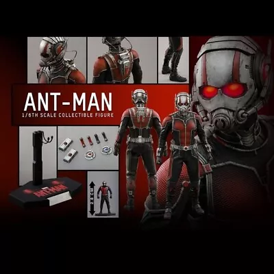 Buy HOT TOYS MMS308 ANT-MAN 1/6TH SCALE COLLECTIBLE FIGURE - As NEW • 177.04£