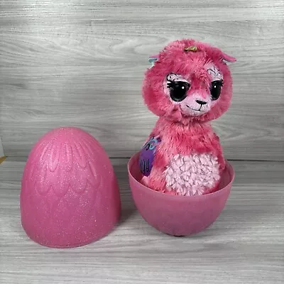 Buy Hatchimals Wow Llamacorn Fully Working With Egg Great Condition • 14.99£