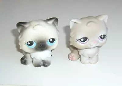 Buy 2 X Hasbro LPS Littlest Pet Shop Figure Grey Cat Persian # 60 # 263 • 7.99£