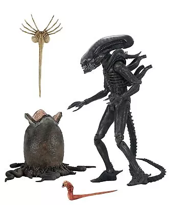 Buy Aliens 40th Anniversary Big Chap Ultimate 7in Action Figure • 54.89£