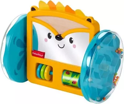 Buy Fisher-Price Play & Crawl Hedgehog Mirror Activity Baby Toy  • 13.99£