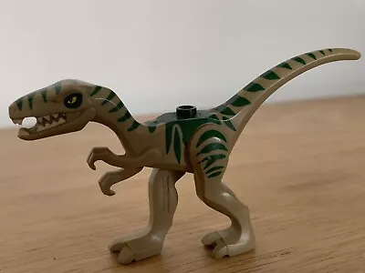 Buy LEGO Jurassic Park Part Raptor15 Dinosaur Raptor / Velociraptor (76961) • 4£