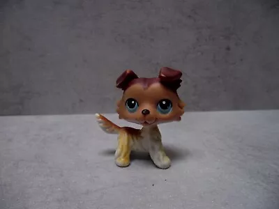 Buy Littlest Pet Shop Hasbro Very Rare Collie #58 Figure • 44.99£