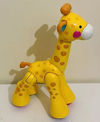 Buy Fisher Price Click Clack Amazing Animals Yellow Giraffe • 7.99£