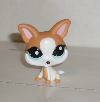 Buy Hasbro LPS Littlest Pet Shop Figure Dog Chihuahua #2072 • 4.99£