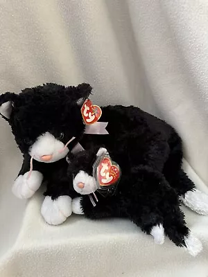 Buy Ty Beanie Baby & Beanie Buddy: Booties The Cat (With Tags) • 11.99£