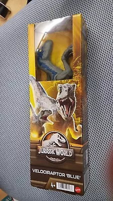 Buy Jurassic World Dinosaur Figure  Velociraptor Blue 12 Inch • 9.99£
