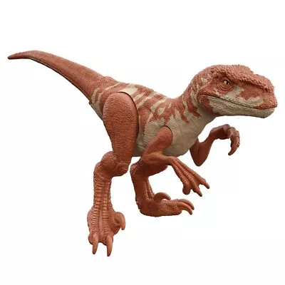 Buy Jurassic World 3 Dominion Atrociraptor 12  Action Figure Official Mattel • 8.99£