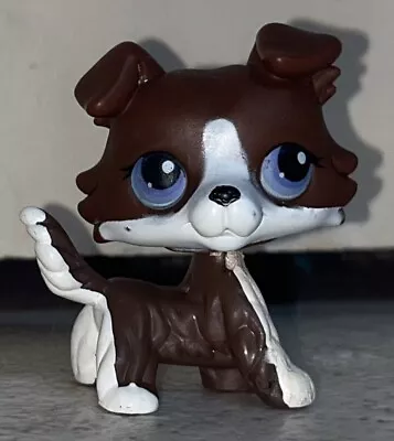Buy Rare Jigsaw Exclusive Littlest Pet Shop LPS Special Brown Collie Dog [Authentic] • 50£