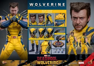 Buy Hot Toys WOLVERINE & Deadpool €449.00 PRESALE COUPON *DELUXE* 1/6 Doll FIGURE • 73.80£