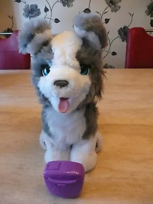 Buy ***furreal Ricky The Trick-lovin' Husky Pup Puppy Dog Interactive Pet Toy*** • 59.99£