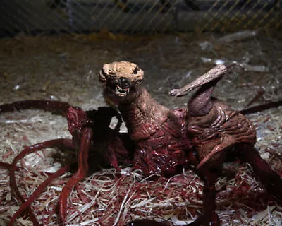 Buy The Thing Dog Creature Deluxe Ultimate 7 Inch Scale Action Figure • 80.99£