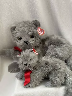Buy Ty Beanie Baby & Beanie Buddy: Beani The Cat (Mint Condition) • 19.99£