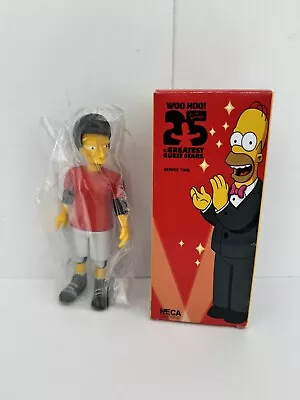 Buy NECA The Simpsons Tony Hawk Skater Guest Stars Series 2 NEW • 16.99£