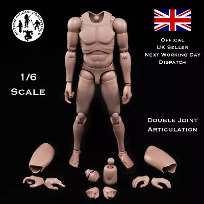 Buy 1/6 Body Action Figure Narrow Shoulder Male Slim Doll Model 12  Hot Toys Scale • 29.95£